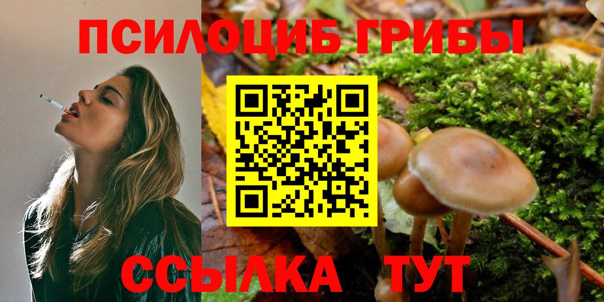 Галлюциногенные грибы мухоморы Пугачёв