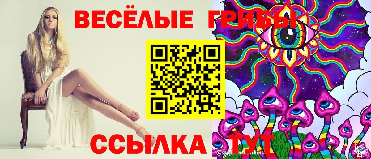 Пугачёв  Галлюциногенные грибы Psilocybe  Вход с VPN 